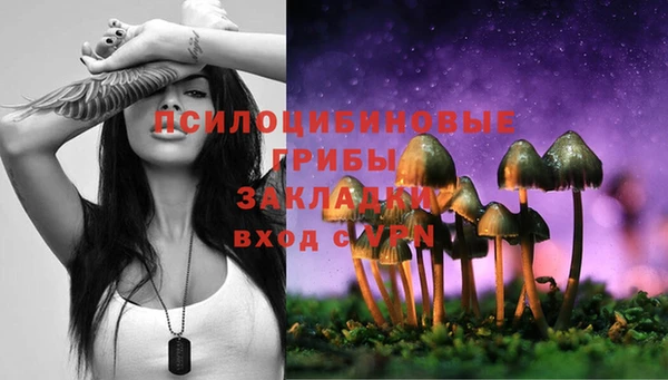 гидра Белая Холуница