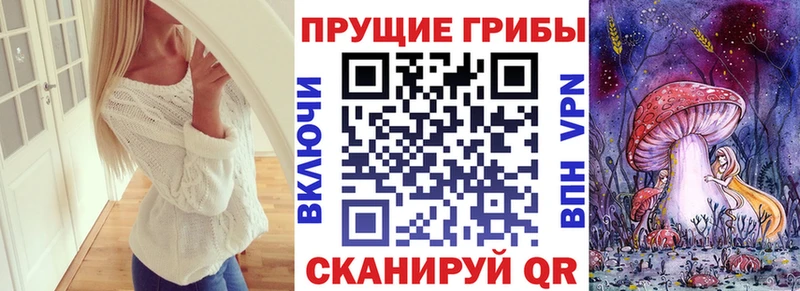 Псилоцибиновые грибы прущие грибы Яблоновский